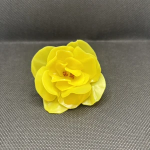 Anillo de plástico reciclado Brasil